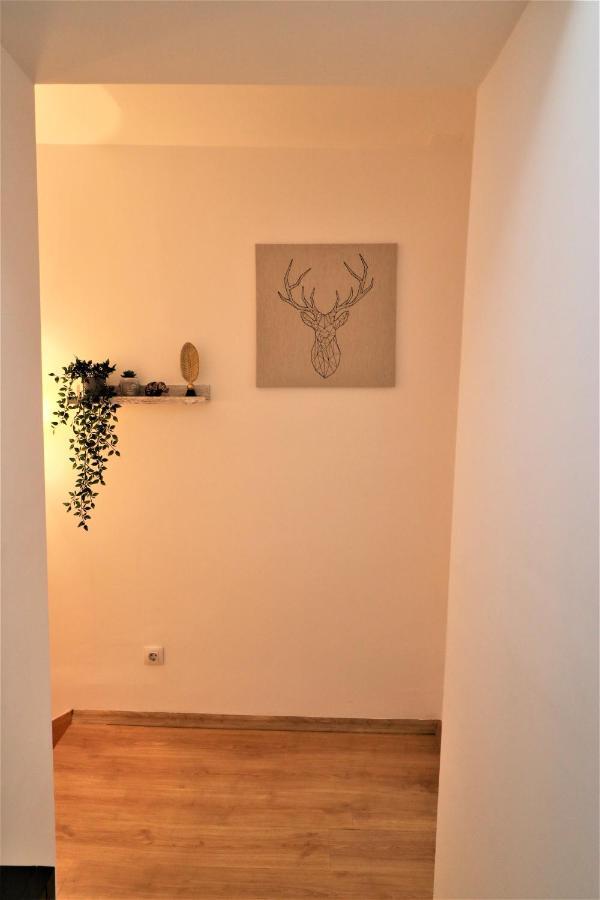Cozy Old Town Apartment - Free Minibar Bucureşti Eksteriør bilde